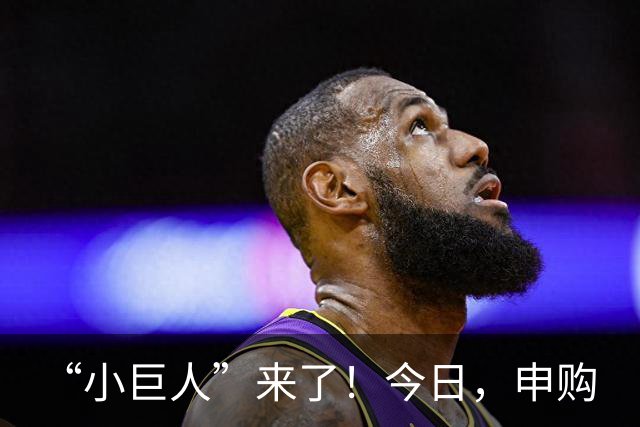 “小巨人”来了！今日，申购