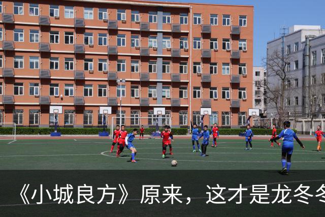 《小城良方》原来，这才是龙冬冬让刘铮亮去福建白跑一趟的真相