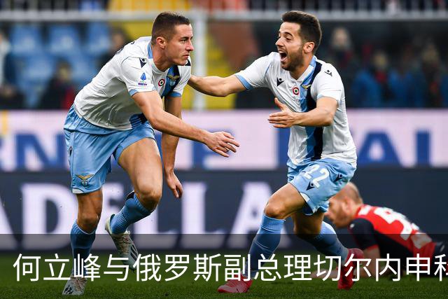 何立峰与俄罗斯副总理切尔内申科共同主持召开中俄总理定期会晤委员会第三十次会议