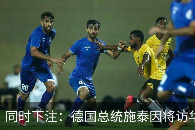 同时下注：德国总统施泰因将访华，几乎同时总理默茨将访问日本