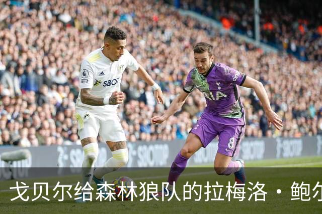 戈贝尔给森林狼队的拉梅洛·鲍尔的建议基本上是，让他冷静下来