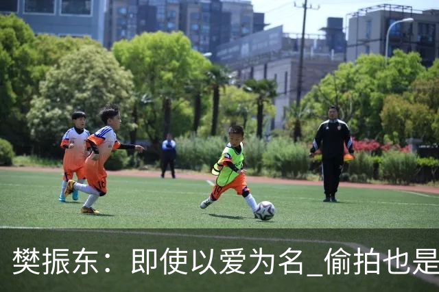 樊振东：即使以爱为名 偷拍也是侵犯他人隐私