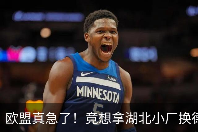 欧盟真急了！竟想拿湖北小厂换德国12人作坊，阿斯麦供应链要断了