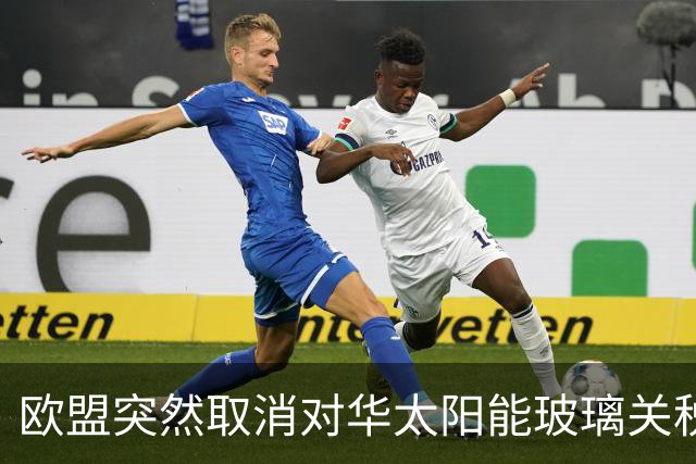 欧盟突然取消对华太阳能玻璃关税，12年后发现已经没企业可保护了