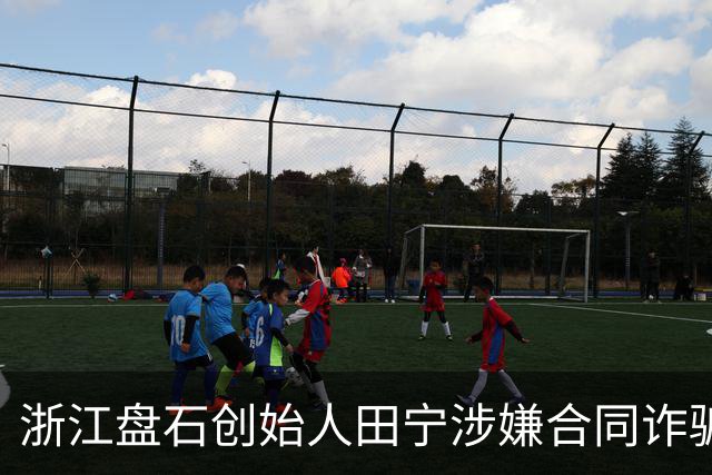 浙江盘石创始人田宁涉嫌合同诈骗被立案调查，旗下公司曾涉足现金贷、714高炮业务