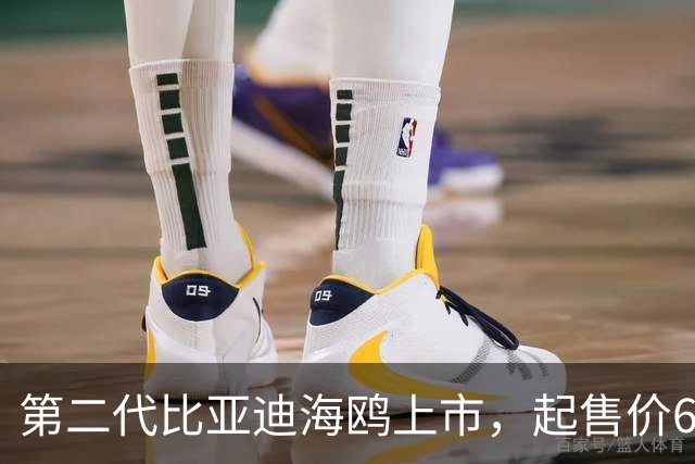 第二代比亚迪海鸥上市，起售价6.29万起！正面硬刚吉利星愿？