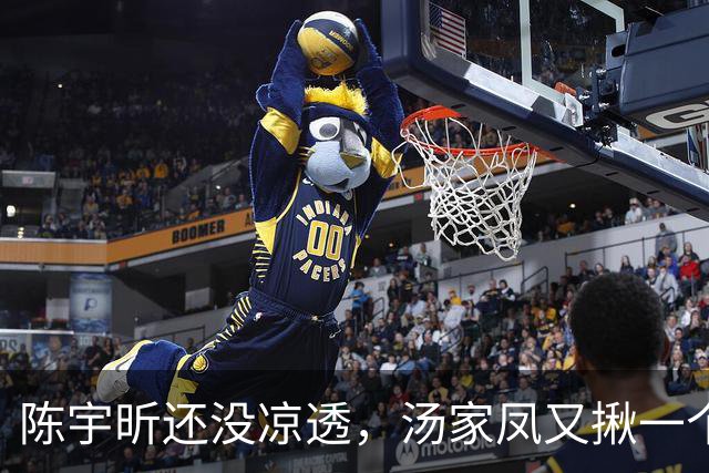 陈宇昕还没凉透，汤家凤又揪一个“精日”人员：竟然还是公司老板